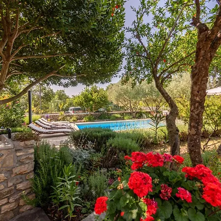 Krasa Zadarvillas Vila Suknovci