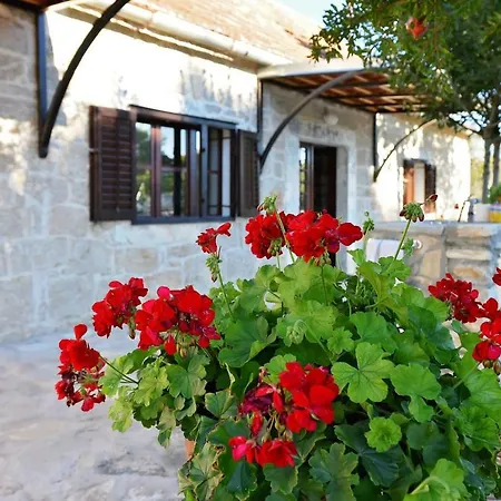 Villa Krasa Zadarvillas
